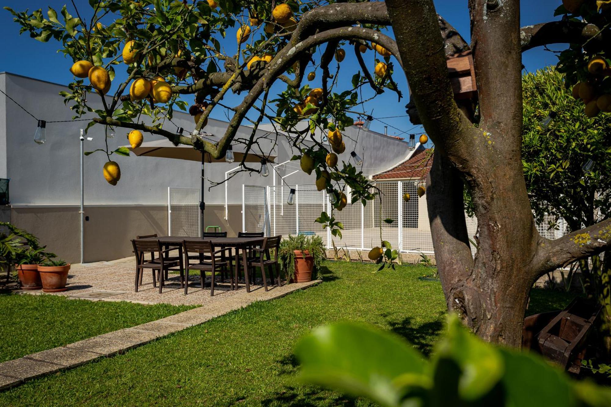 708 Mugnano House Aveleda Vila do Conde Exterior foto